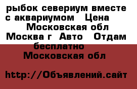 рыбок севериум вместе с аквариумом › Цена ­ 100 - Московская обл., Москва г. Авто » Отдам бесплатно   . Московская обл.